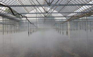 揭秘高效农业：温室大棚微喷灌系统操作与管理技巧