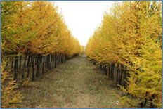 经济收益， 促进发展