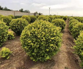 四、价格表里的学问