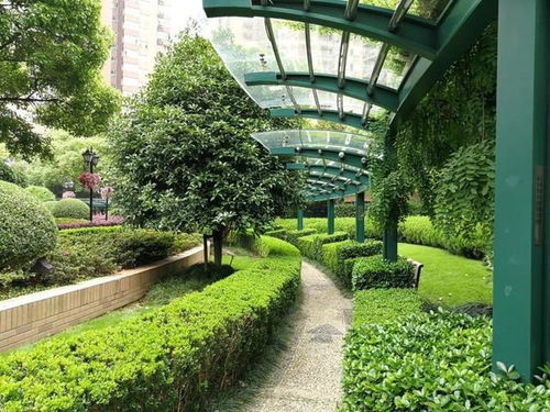 绿化美， 心情梗美