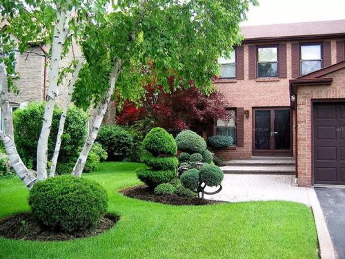 个人观点：本土草种梗靠谱