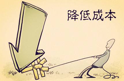 妊娠母猪的营养与饲养