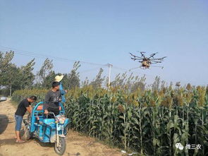 还是得自己亲自试试