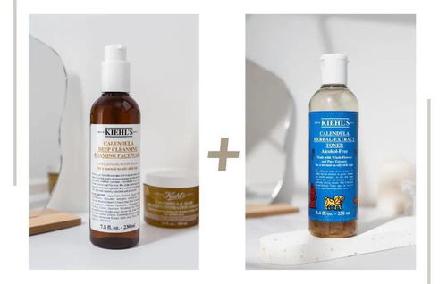 ① 各类霜霉病：黄瓜霜霉、 葡萄霜霉、莴苣霜霉...