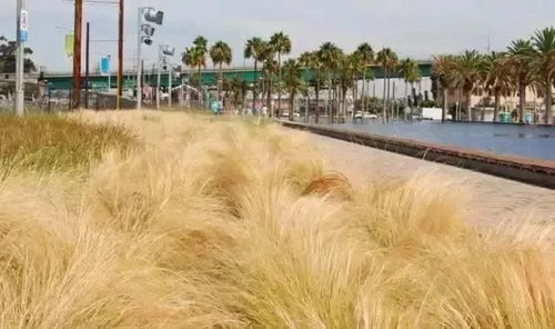 因地制宜，巧用秸秆