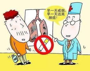 冬季如何避免小金桔树因低温冻伤或冻死