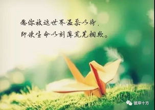 温柔的共情，生命的尊重与悲悯