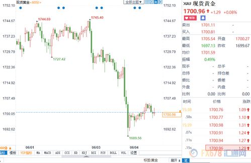 棕榈之美， 不止于形