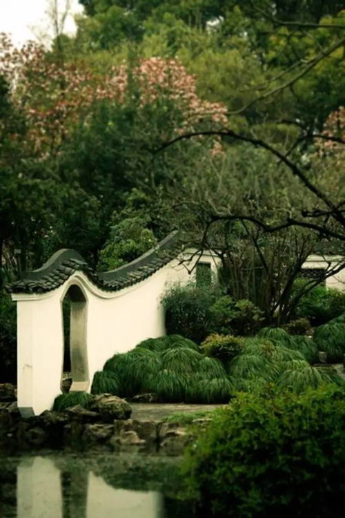 名字之谜，等待揭秘