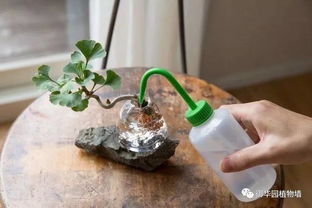 水分管理有技巧