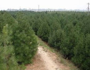 不同规格价格大不同