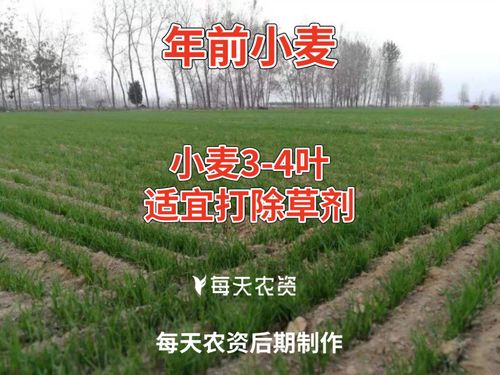 注意事项， 别忽视了
