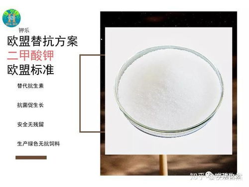 酵母改善断奶仔猪生长与免疫效能