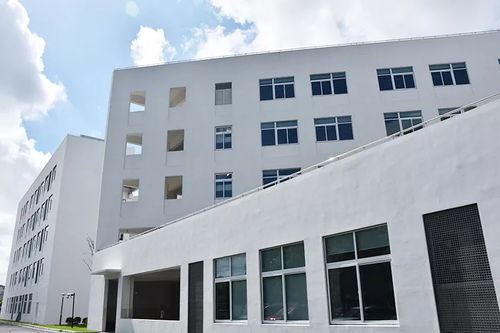康地华美预混料质量如何？天门华美饲料有限公司的产品性价比怎么样？