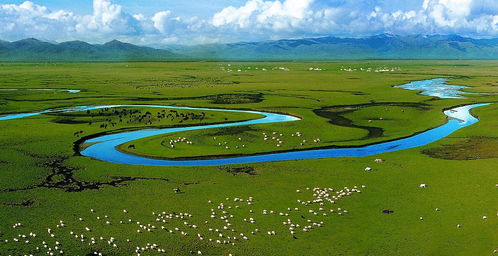 那些年在黑龙江的草原上