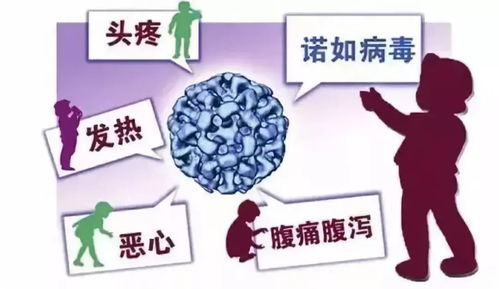 微波消毒，简单又方便