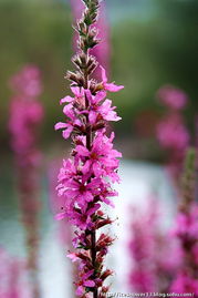 税收优惠助力企业发展