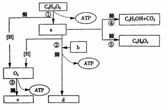 什么是抗性倍数？