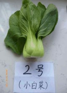 蔬菜农药残留，别怕，我有小妙招！