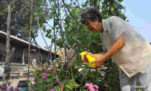 铁屑与铁树的健康成长