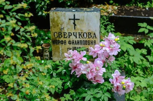 墓地花卉的风水：长青与新生