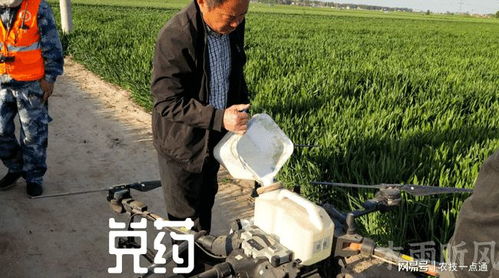 代森锰锌的搭配禁忌