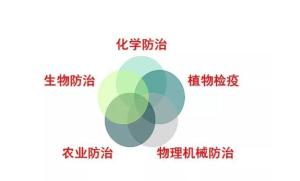 用药时间有讲究