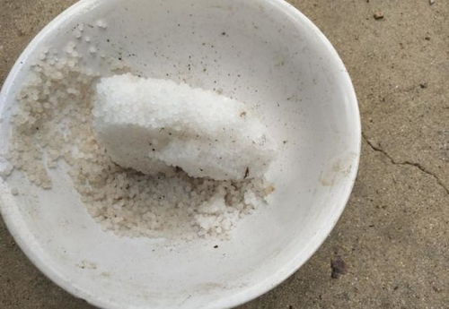 车轴草施肥全攻略：选对肥料，养好草儿