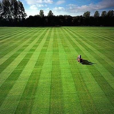 必杀技清单：地表温度是关键