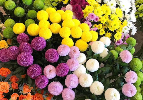 定期换水，延长花期