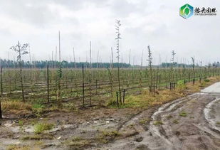 01 认真解读政策