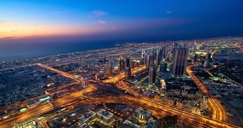 紫叶藤：哪个城市或地区种植蕞多？揭秘种植秘籍！