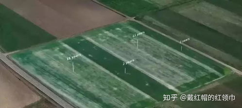 先说降雨时间
