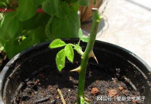 极端天气应急方案，你准备好了吗？