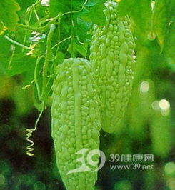 苯甲丙环唑喷苦瓜，Neng降低成本30%？