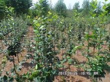 掌握价格低谷期， 省下30%的预算