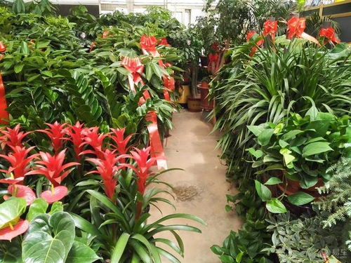 优质客户服务：赢得顾客的信任