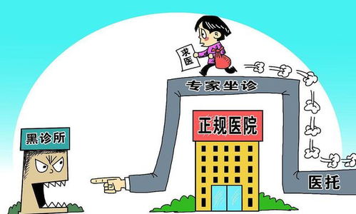 实操指南：如何在药材市场买到好苗