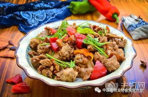 月经期间是否可以食用兔肉，存在争议