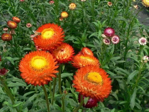 喷洒前的准备工作