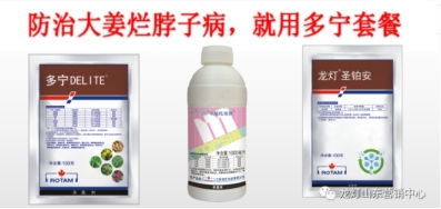 家里虫子多怎么办？