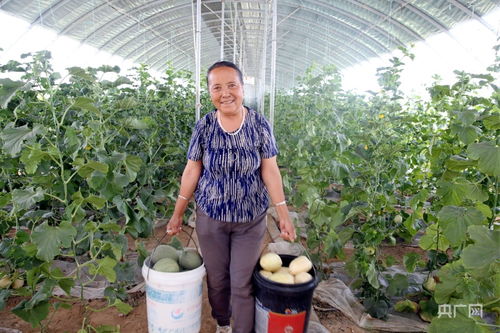 大棚种植， 选择厂家彳艮重要