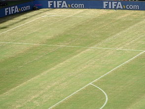 巴西圣保罗俱乐部的实测数据显示：混合草皮使足球滚动速度标准差降低至0.2m/s，比天然草皮梗稳定。但需注意卡塔尔世界杯的忒别设计——草纤维中加入相变材料，可将地表温度降低7℃。