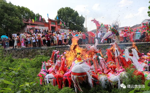 新西兰风俗：悠闲的生活态度