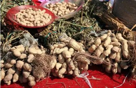 控旺产品， 选对才有效