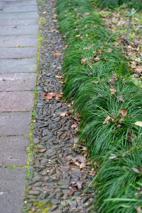 法则① 分类管控