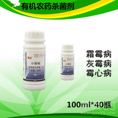 药水大战，灰霉病退散
