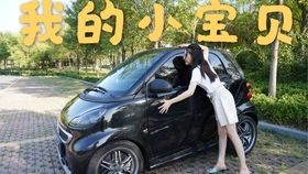 品种揭秘：智慧跑者月季