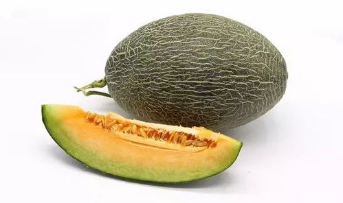 瓜蝇来袭，如何应对？