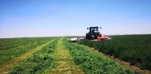 田间守护神，你真的了解吗？